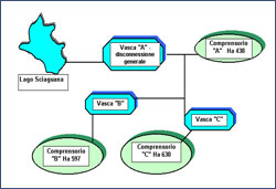 schema sciaguana